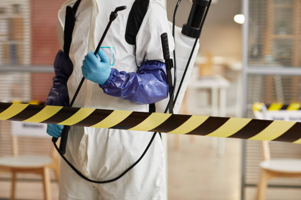 Professional Biohazard technician working in Six Lakes, MI
